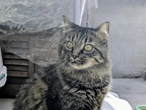 GANDALF