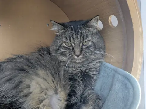 GANDALF photo 2