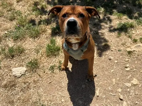 MAX réservé