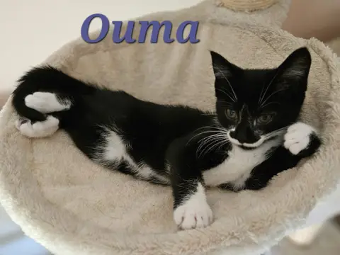 OUMA