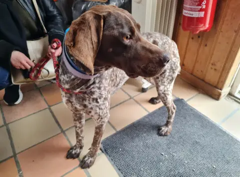 CHOUQUETTE à trouvé sa famille