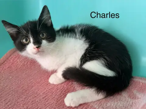 CHARLES