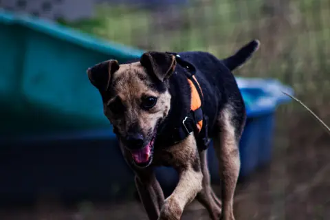 Otis photo 2