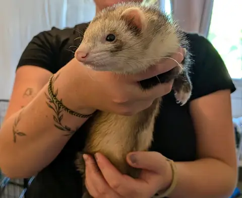 LOKITA