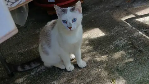 CHOUPETTE (réservée)