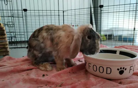 OSWALD