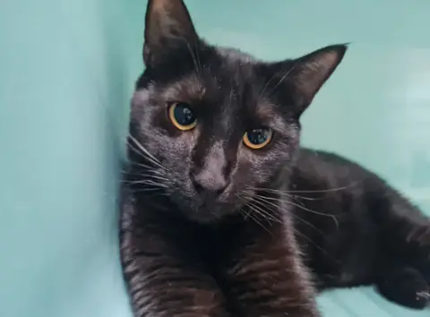 Albert (A trouvé sa famille) photo 2