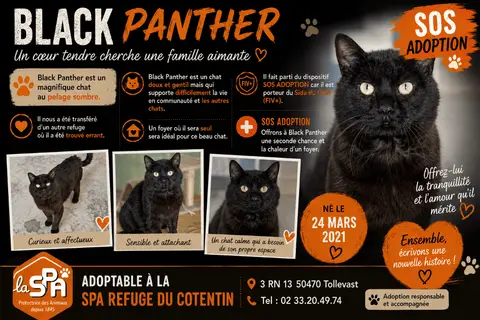 BLACK PANTHER