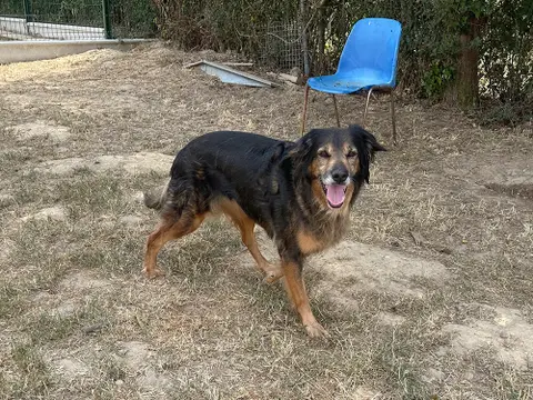 MAYA photo 4