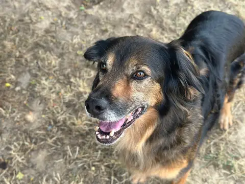 MAYA photo 3