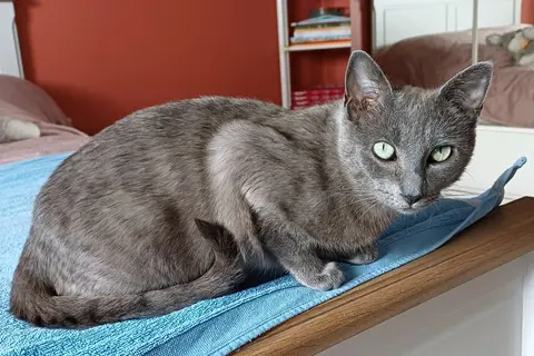 MILKA