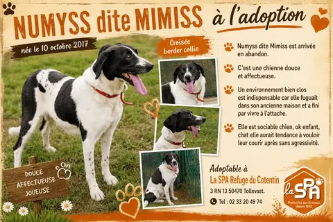 MIMISS