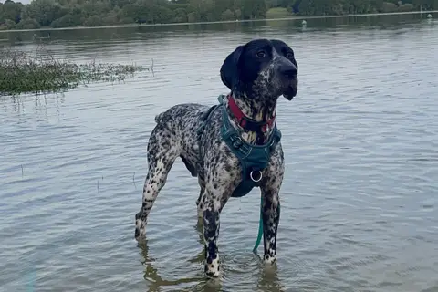 PRINCE
