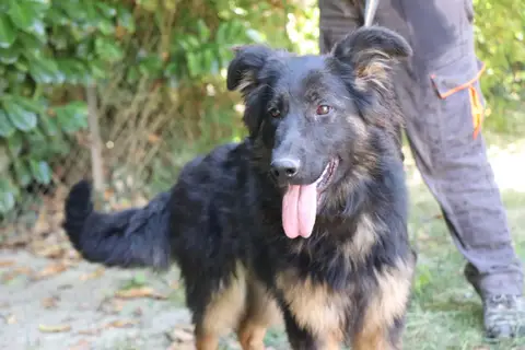 SAPHIRA photo 3