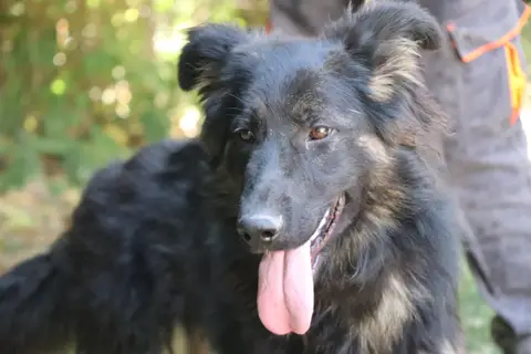 SAPHIRA photo 4