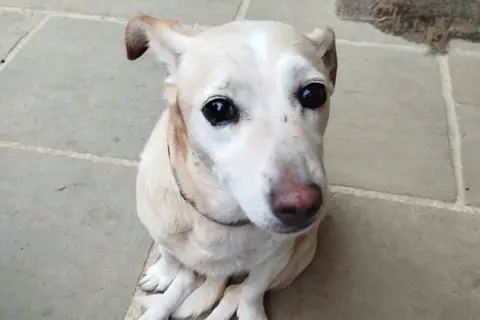 MIRZA