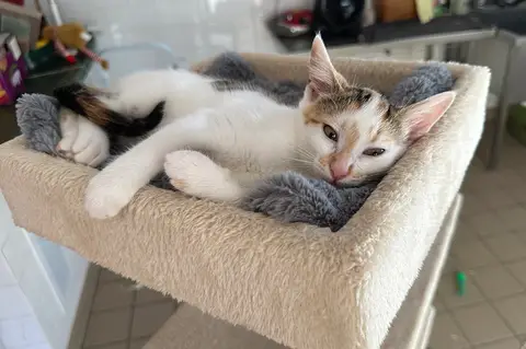 Bella photo 2