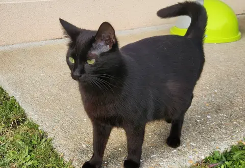 LILITH QCT (j'ai trouvé ma famille)