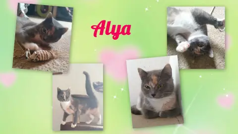 ALYA