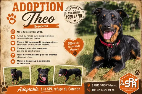 THEO RESERVE