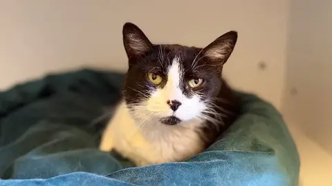 MINNIE