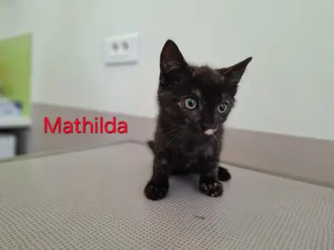 Mathilda