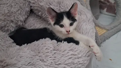 BOUNTY A trouvé sa famille