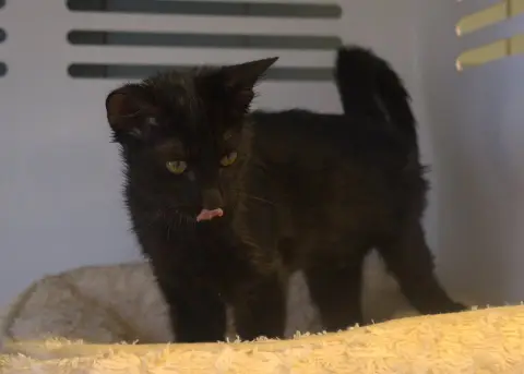 NORI