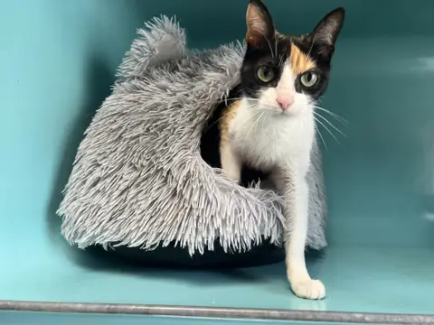 LILOU