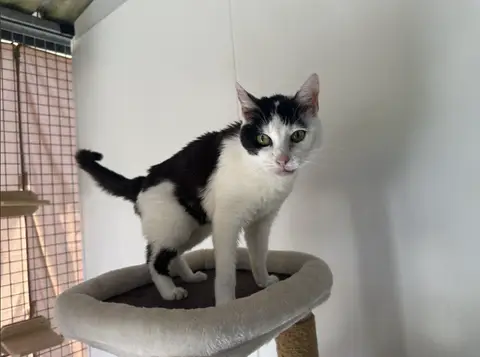 MINETTE