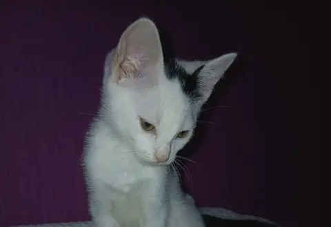 bob photo 2