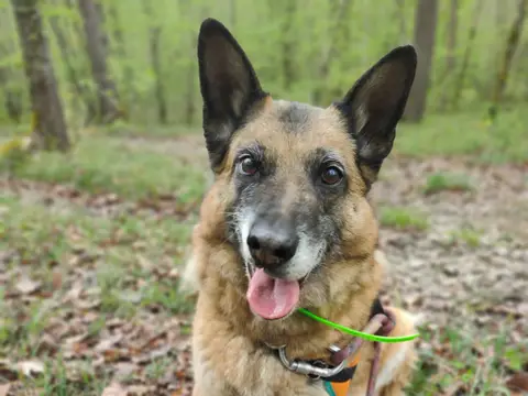 JASPER photo 2