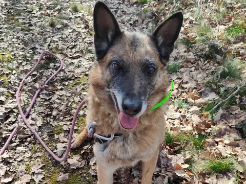 JASPER photo 9