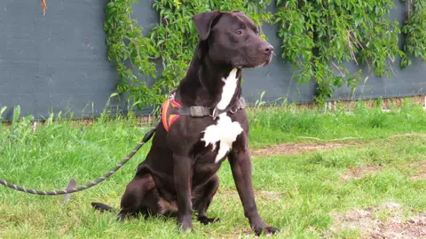 LOKI photo 4