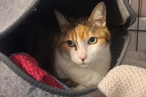 MINETTE