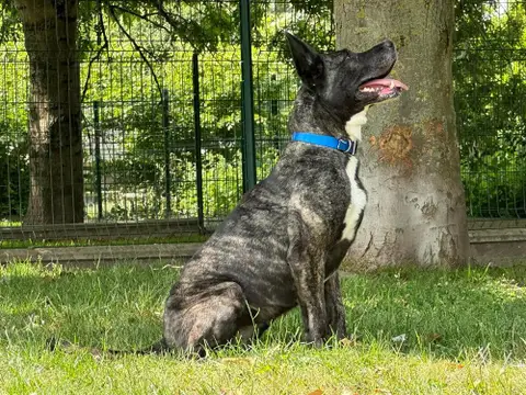 NIRKA photo 3