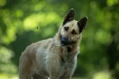 Xena (Reservée)
