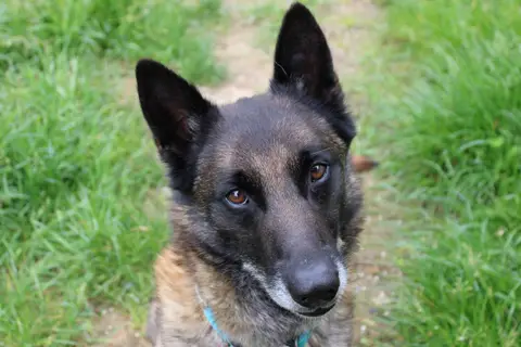 Max