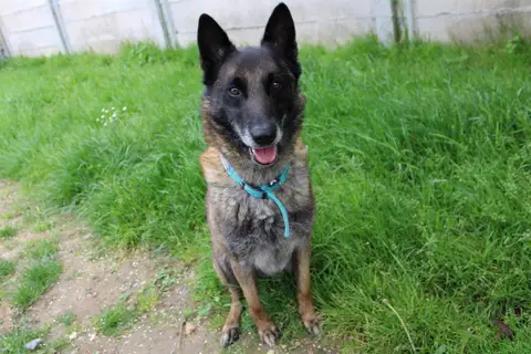 Max photo 2