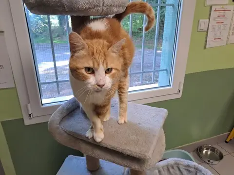 TITO