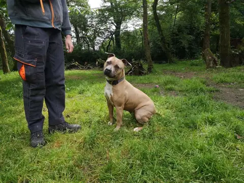 Nala photo 5