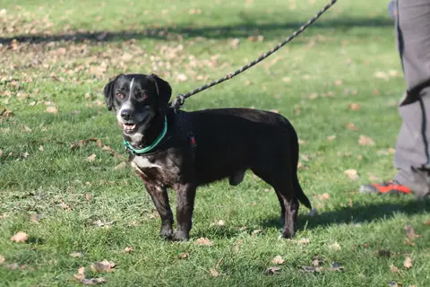 PARKER photo 3