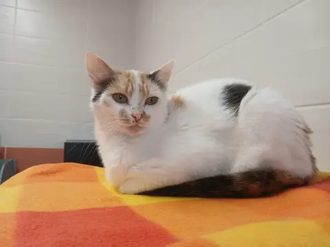 MARYBEL