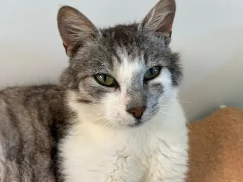 RAGNAR