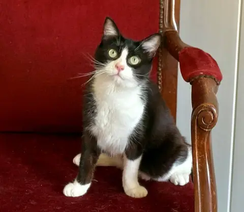 Asbjorn photo 2