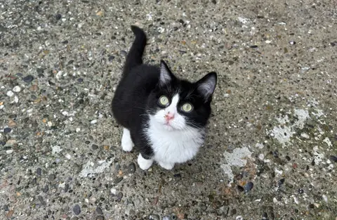 Asbjorn photo 5