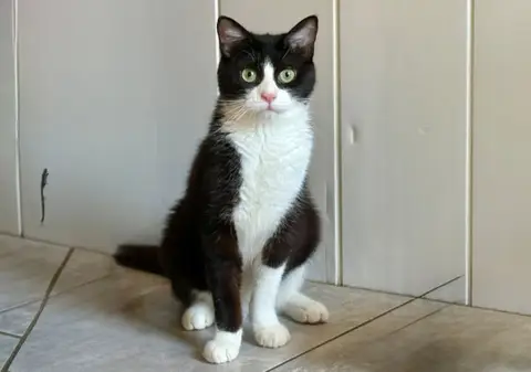 Asbjorn