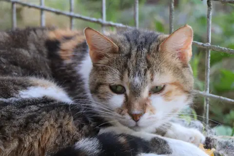 Lili (réservée) photo 2