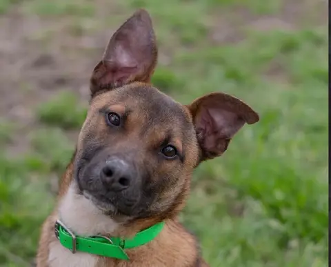 SUNNY photo 2