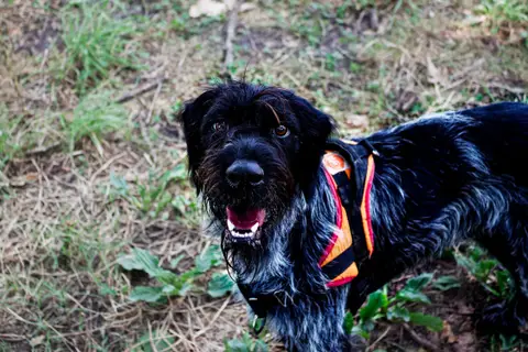 Athos photo 2